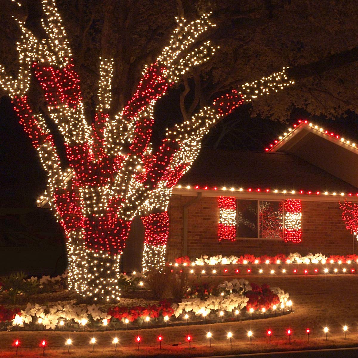 Wintergreen Lighting LED Mini String Lights, 50 Red Lights, 25 ft, 6in Spacing, Model IOS-2-50, Acrylic Material